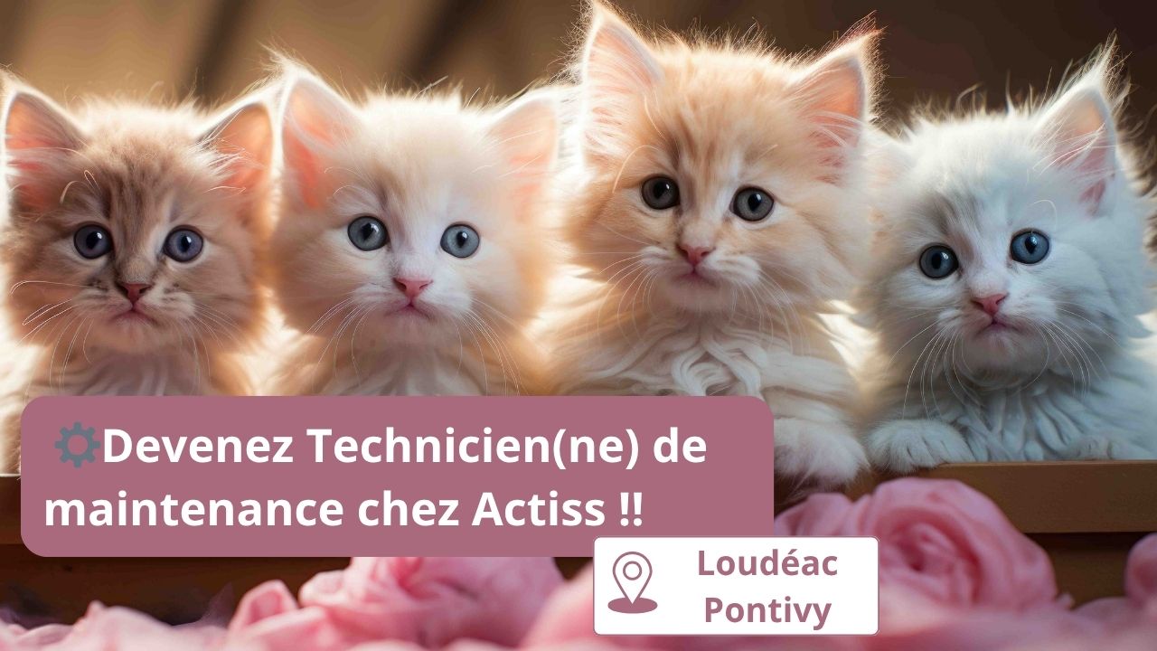 offre d'emploi technicien de maintenance Pontivy et Loudéac